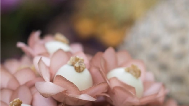 Captura de Tela 2025-10-28 às 17.00.21