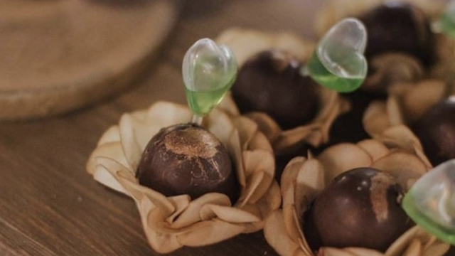 Captura de Tela 2025-10-28 às 17.00.32