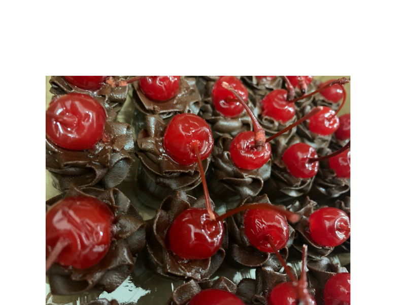 Design sem nome (11)