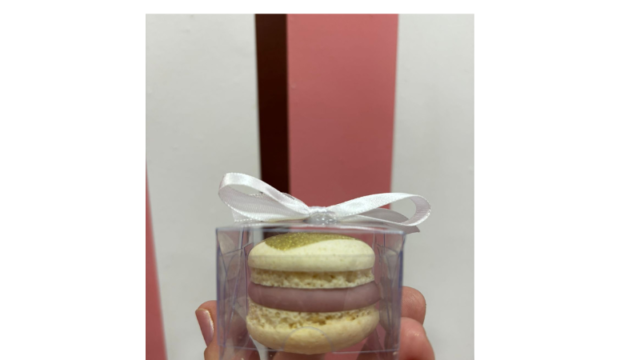 Design sem nome (12)