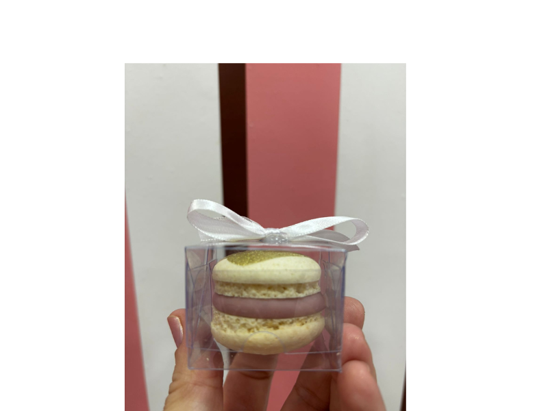 Design sem nome (12)