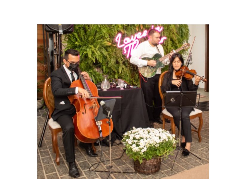 Design sem nome (23)