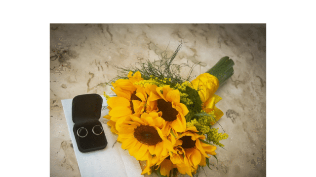 Design sem nome (16)