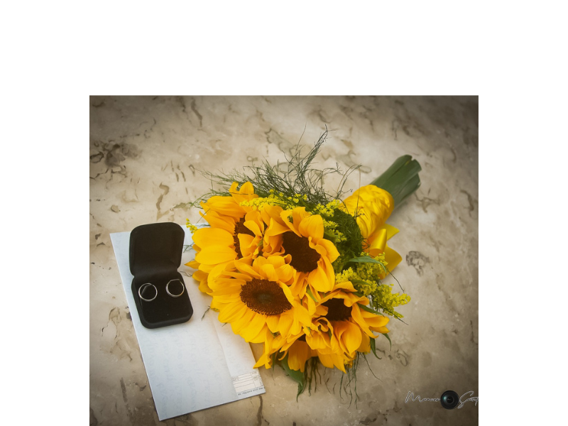 Design sem nome (16)