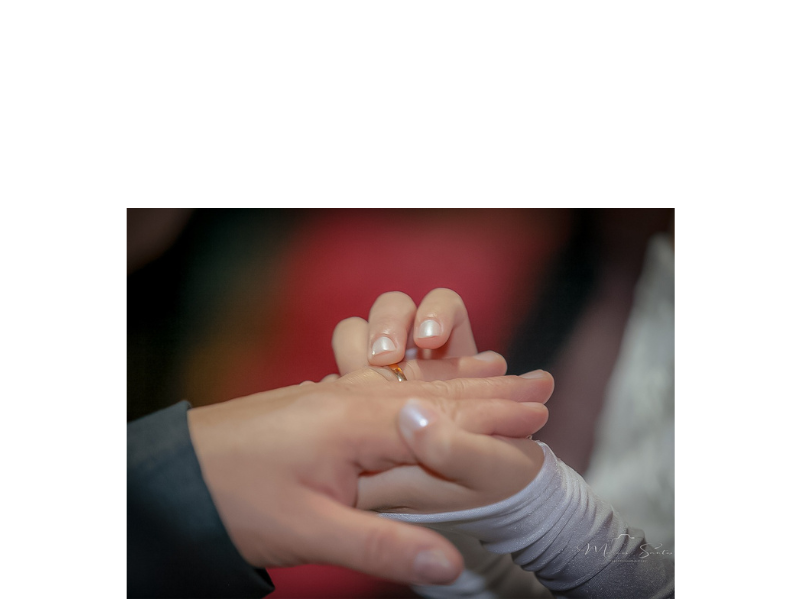 Design sem nome (18)