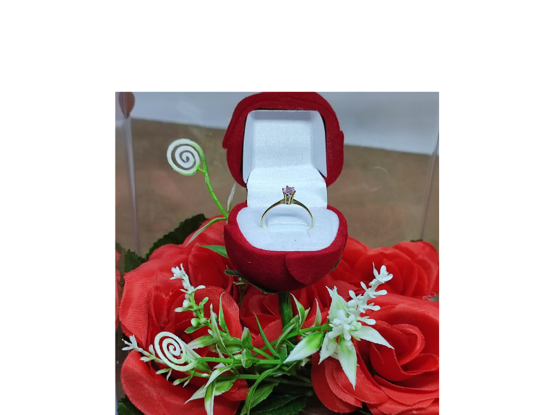 Design sem nome (24)