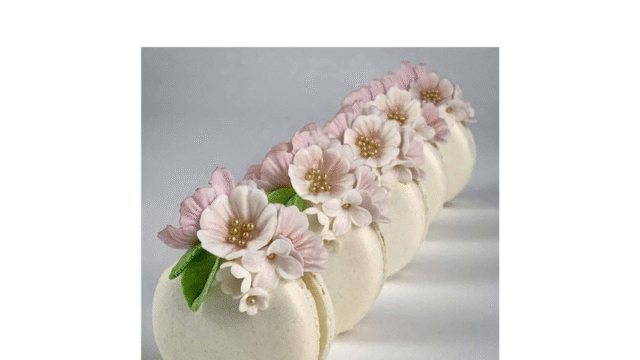 Design sem nome (32)