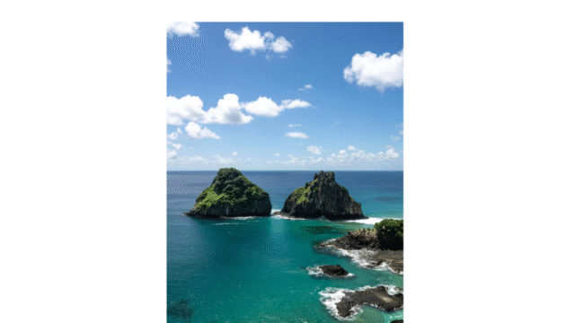 Design sem nome (35)