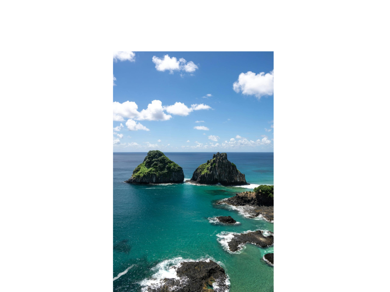 Design sem nome (35)