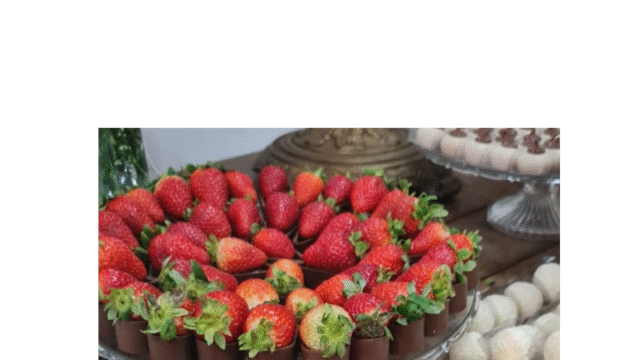 Design sem nome (40)