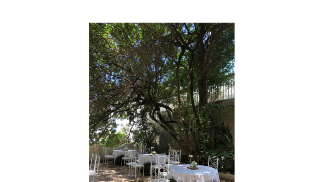 Design sem nome (24)