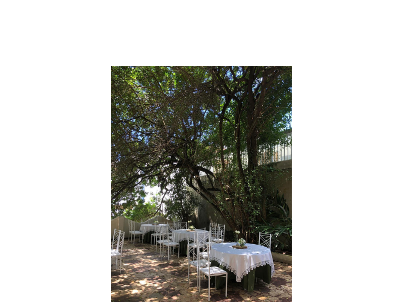 Design sem nome (24)