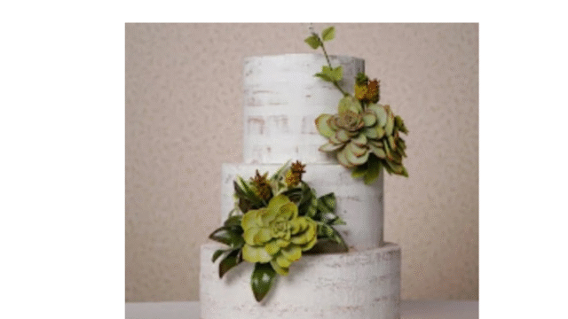 Design sem nome (27)