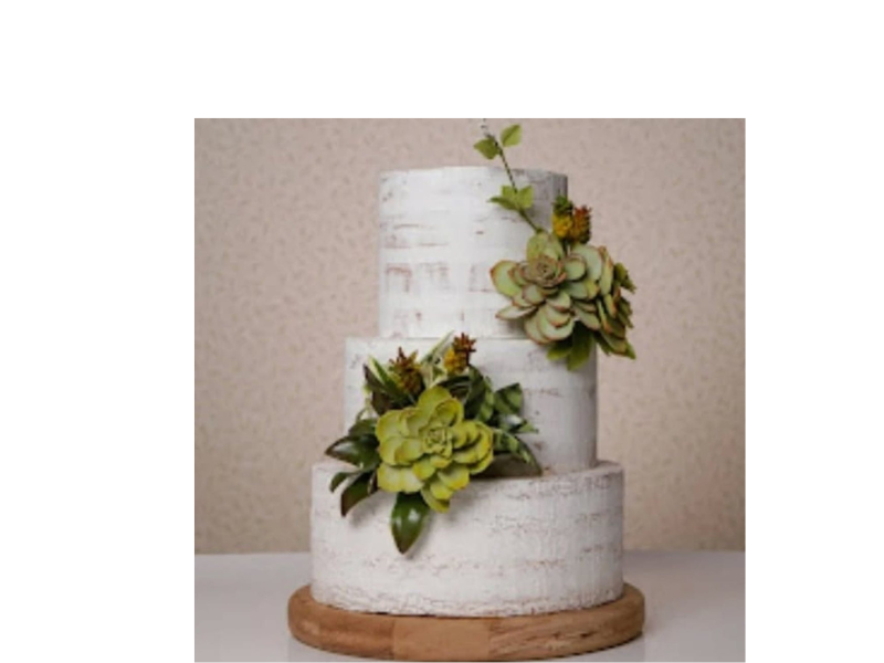 Design sem nome (27)