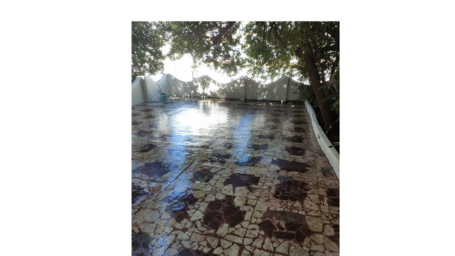 Design sem nome (28)