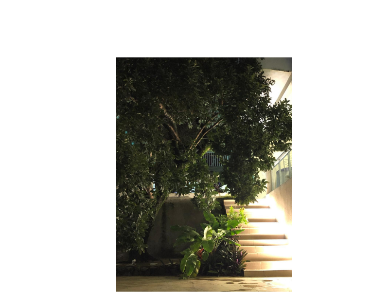 Design sem nome (29)