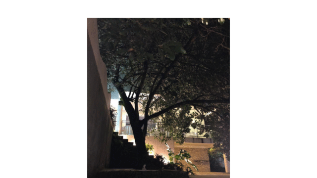 Design sem nome (30)