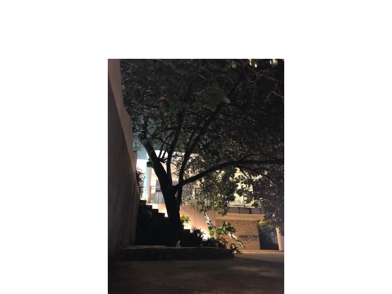 Design sem nome (30)