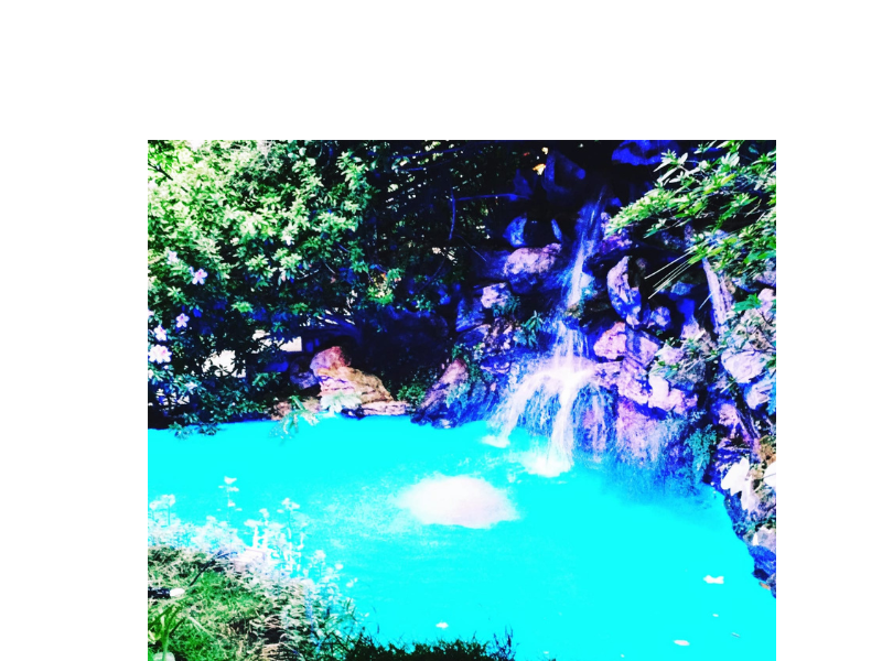 Design sem nome (26)