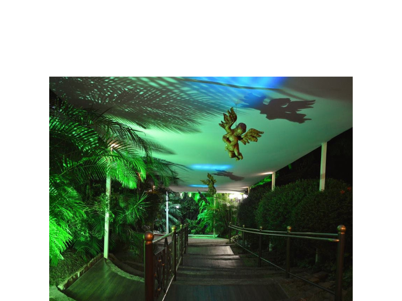 Design sem nome (33)