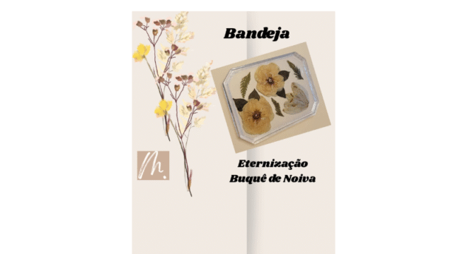 Design sem nome (12)