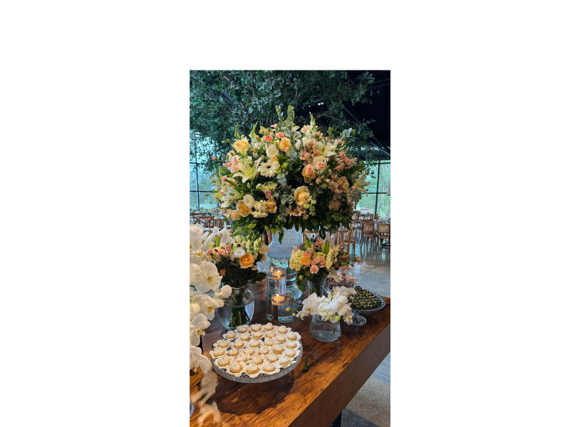 Design sem nome (15)