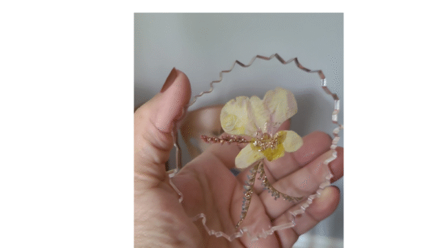 Design sem nome (15)