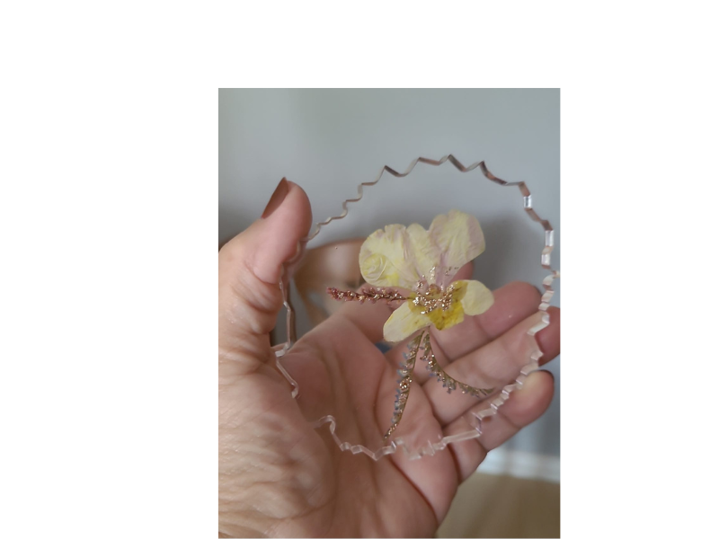 Design sem nome (15)