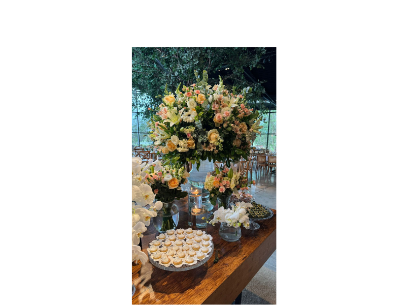 Design sem nome (17)