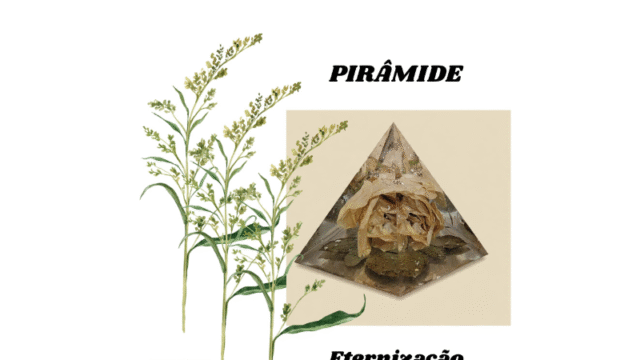 Design sem nome (17)