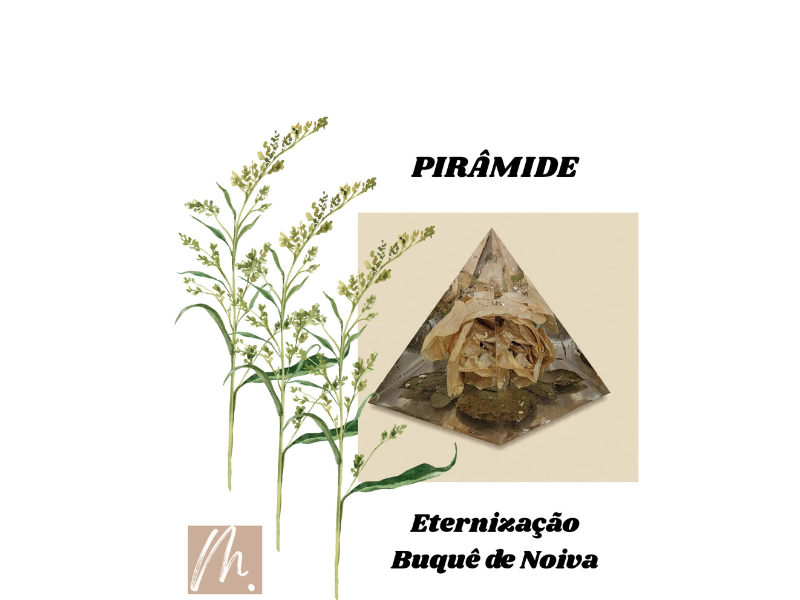 Design sem nome (17)