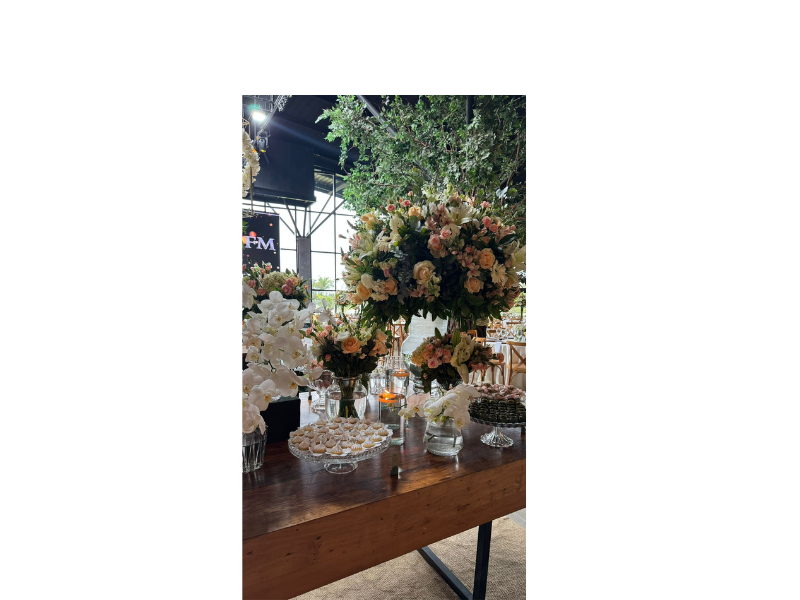 Design sem nome (19)