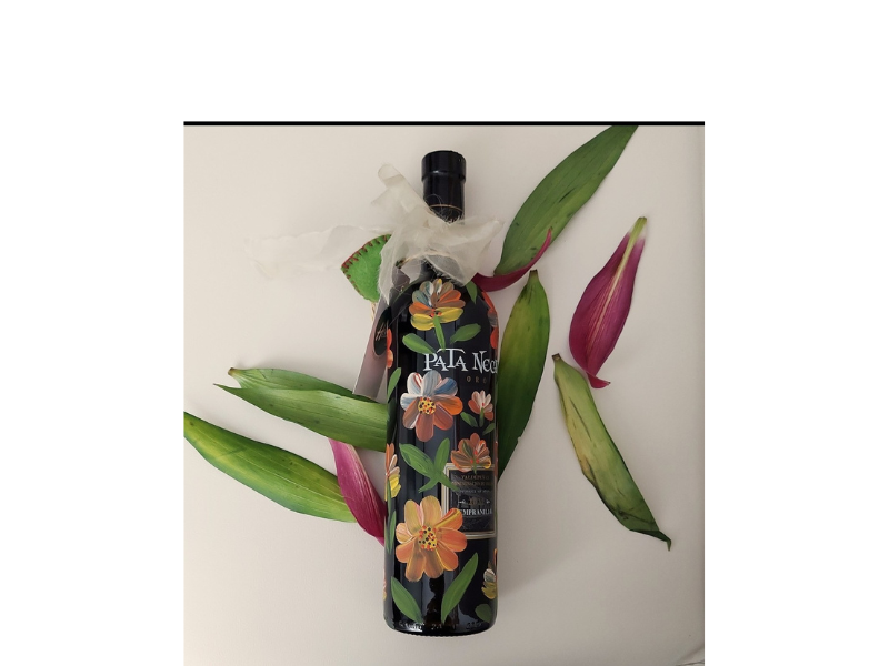 Design sem nome – 2026-04-23T171637.863