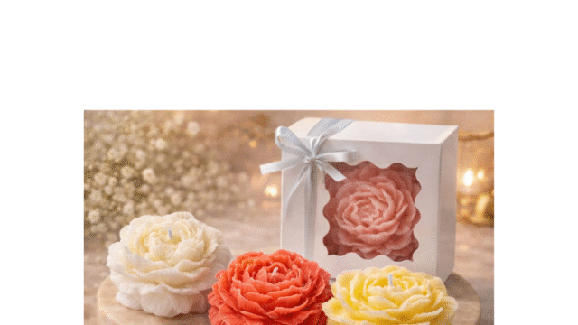 Design sem nome – 2026-04-27T095856.083