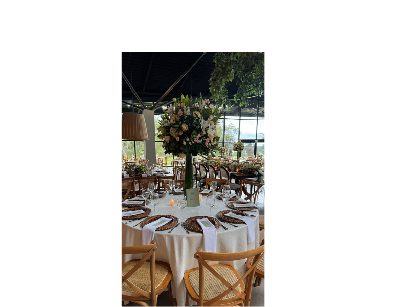 Design sem nome (21)