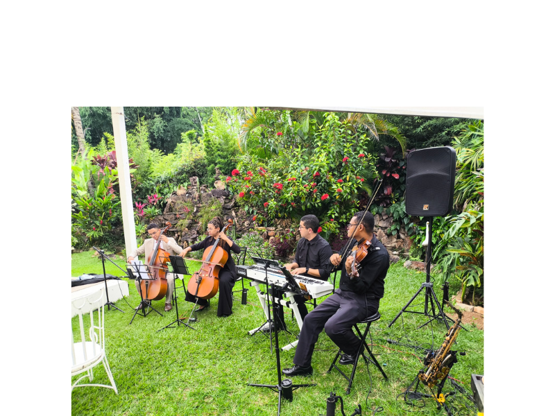 Design sem nome (68)