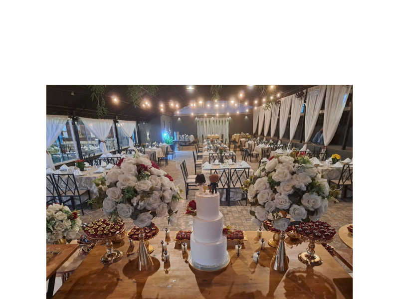 Design sem nome (91)