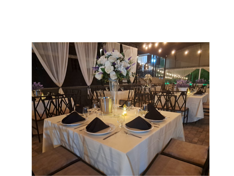 Design sem nome (99)