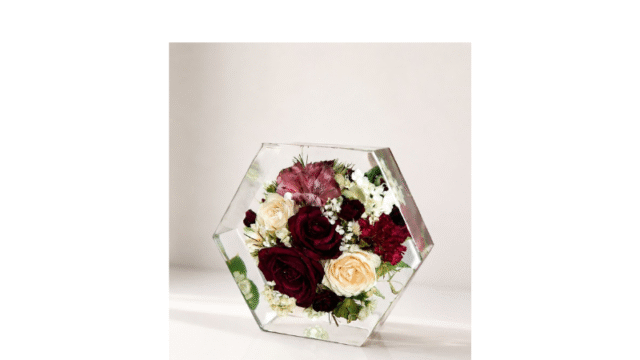 Design sem nome – 2026-05-08T084336.325