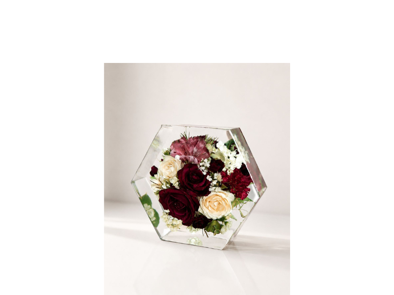 Design sem nome – 2026-05-08T084336.325
