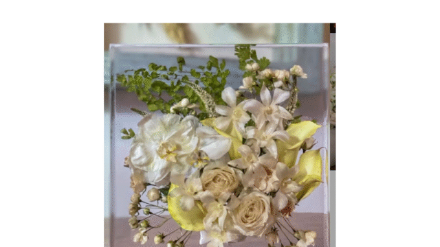 Design sem nome – 2026-05-08T084357.000