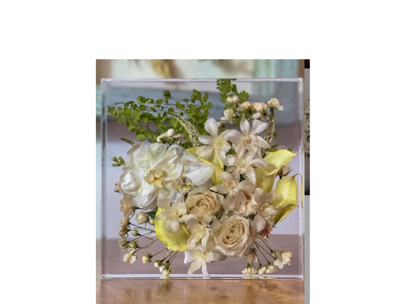 Design sem nome – 2026-05-08T084357.000