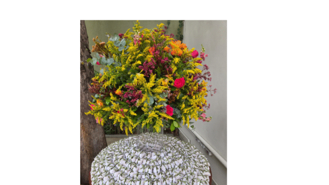 Design sem nome – 2026-05-12T122912.195