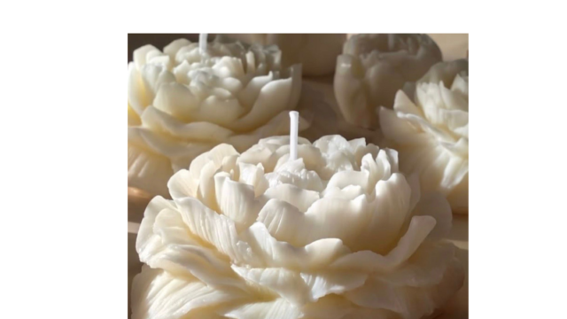 Design sem nome (44)