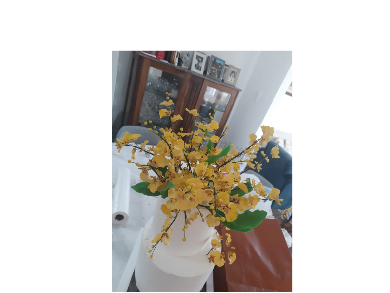Design sem nome (100)