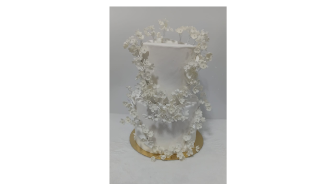 Design sem nome – 2026-06-29T123917.430