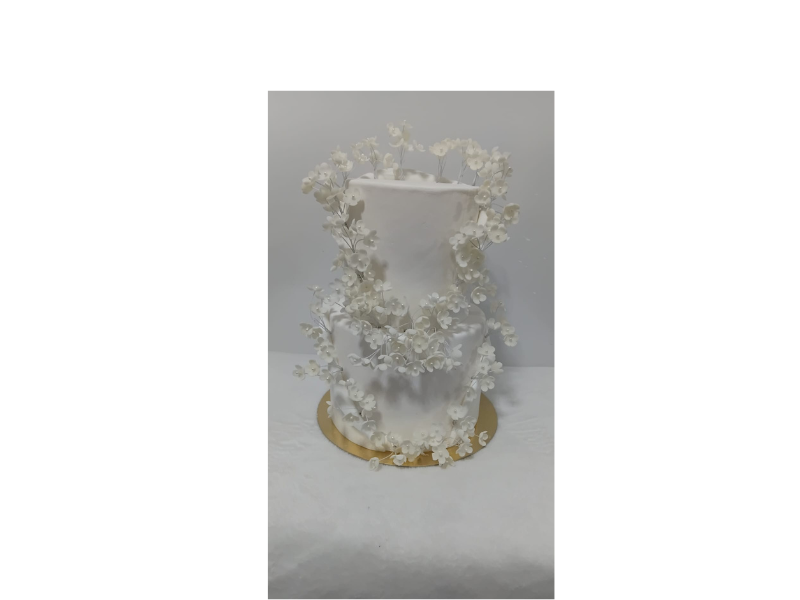 Design sem nome – 2026-06-29T123917.430