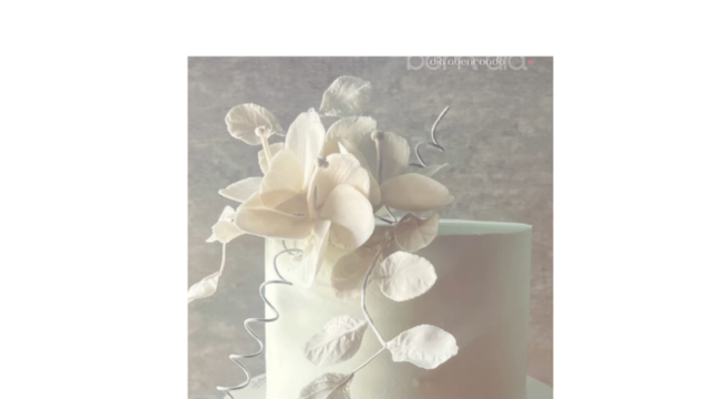 Design sem nome – 2026-06-29T124007.051