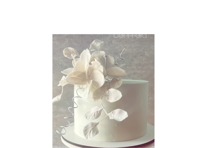 Design sem nome – 2026-06-29T124007.051