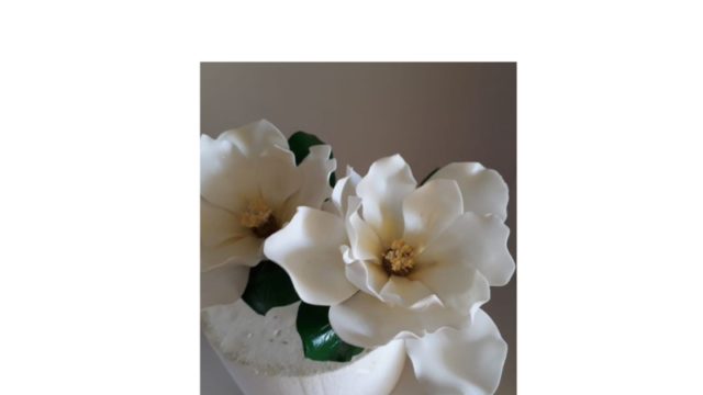 Design sem nome – 2026-06-29T124035.200